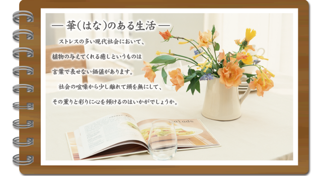 メインイメージ