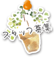 スタッフ募集